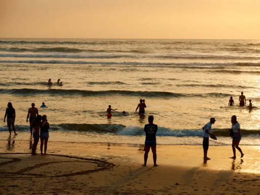 25-08_LANDES_292 1